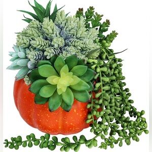 Orange Fall Pumpkin Centerpiece Artificial Succulents- Brand new, unopened
